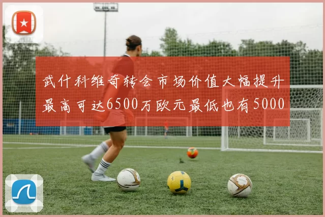 武什科维奇转会市场价值大幅提升最高可达6500万欧元最低也有5000万欧元