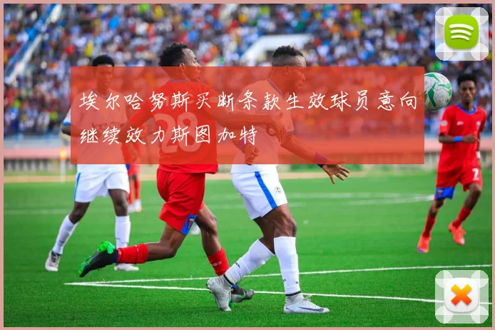 埃尔哈努斯买断条款生效球员意向继续效力斯图加特